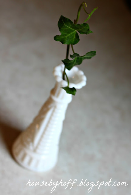 Sticking the piece of ivy in a white vase.