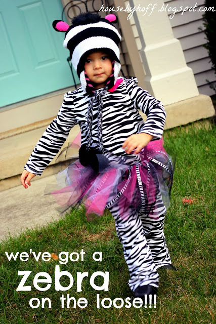 Little girl in a zebra costume.