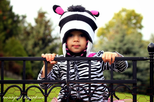 Girl holding onto a wrought iron fence in her Halloween costume.