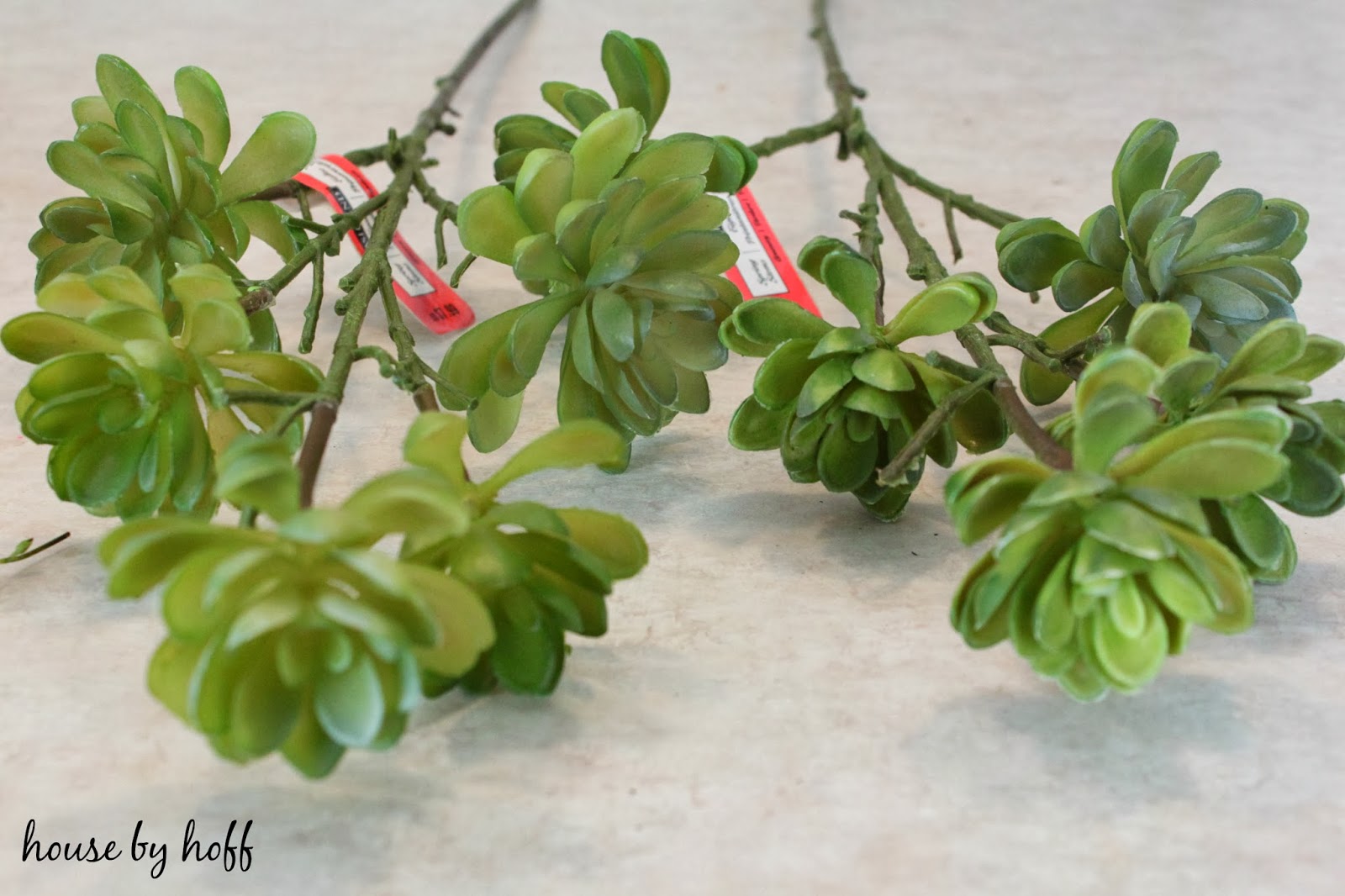 Fake Succulent Pots via housebyhoff.com Fake succulents on the counter.
