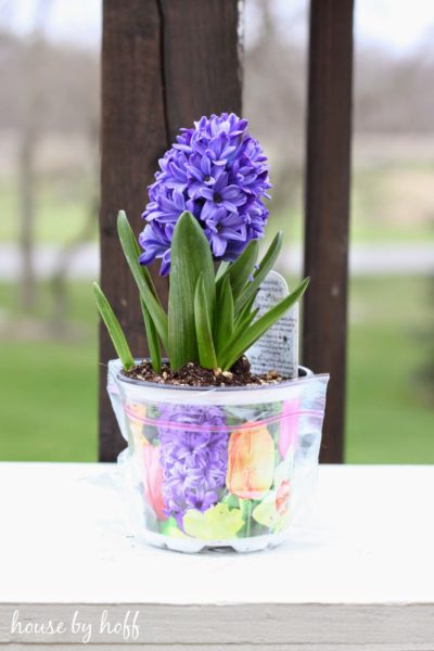 flower mother's day gift idea via housebyhoff.com