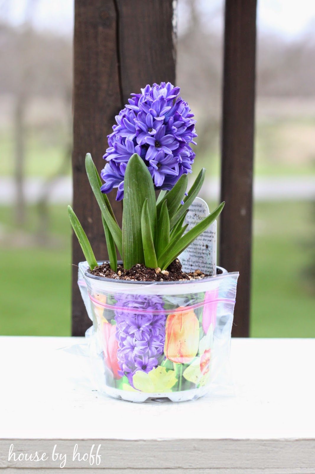 flower mother's day gift idea via housebyhoff.com