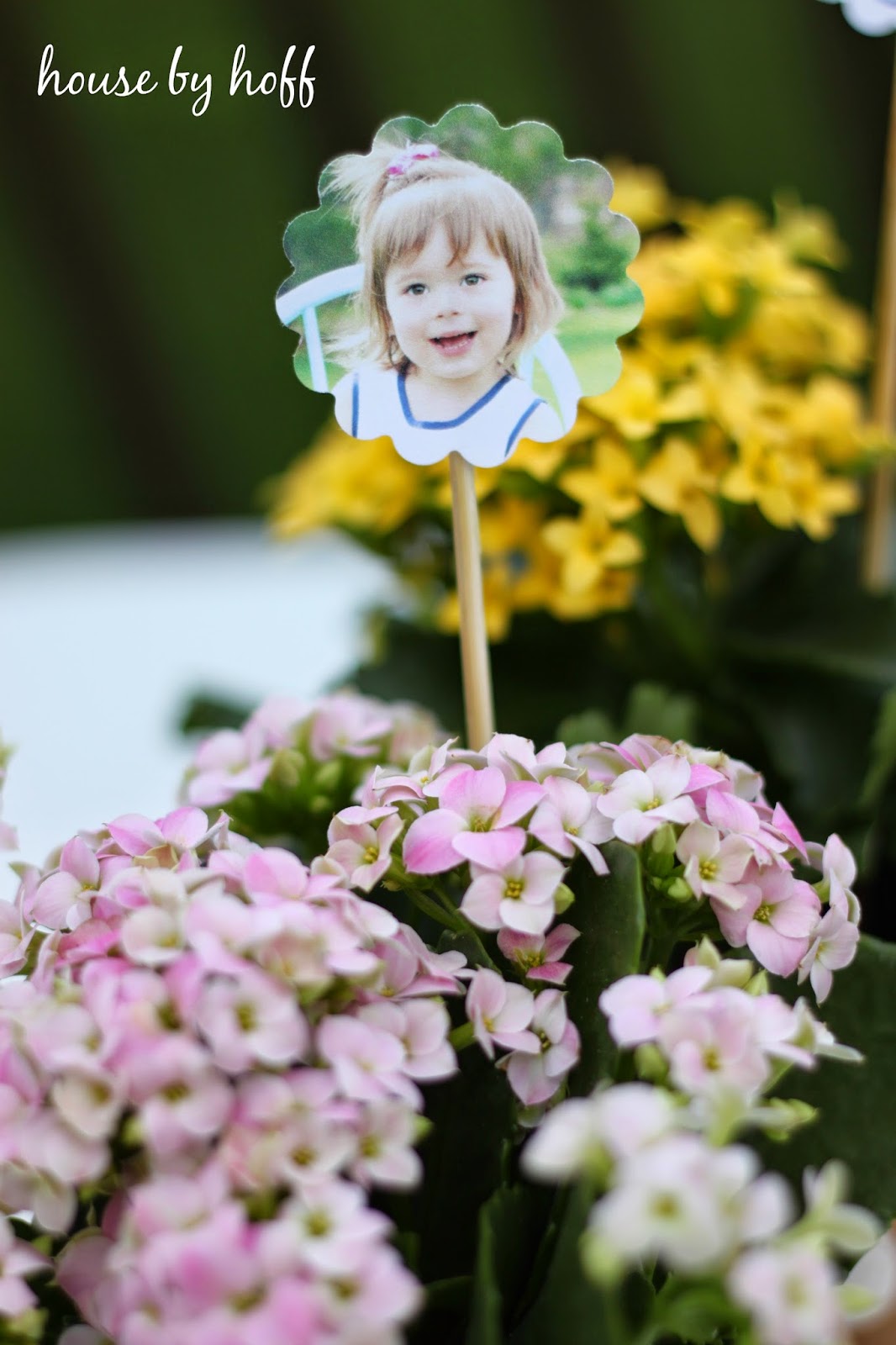 easy mother's day gift idea via housebyhoff.com easy mother's day gift idea via housebyhoff.com