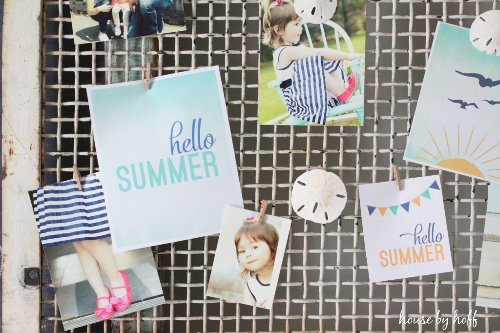 summer photo display 4