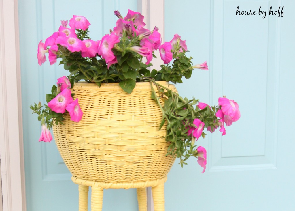 Purple flowers in the yellow wicker planter.