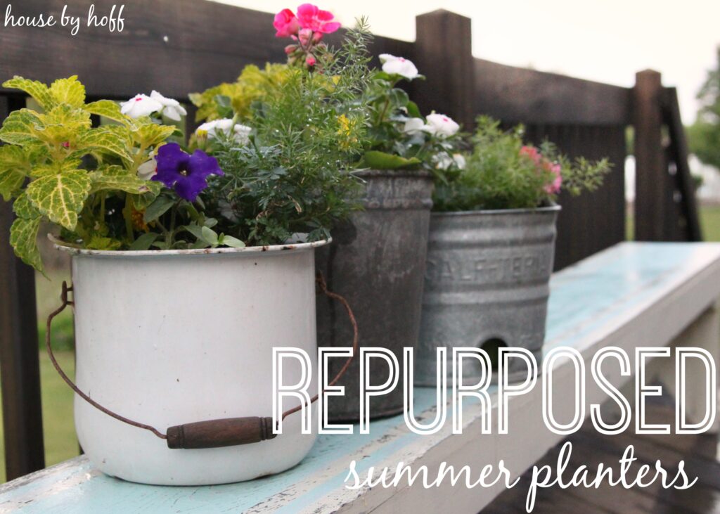 Pots of pretty flowers in buckets on weathered bench.