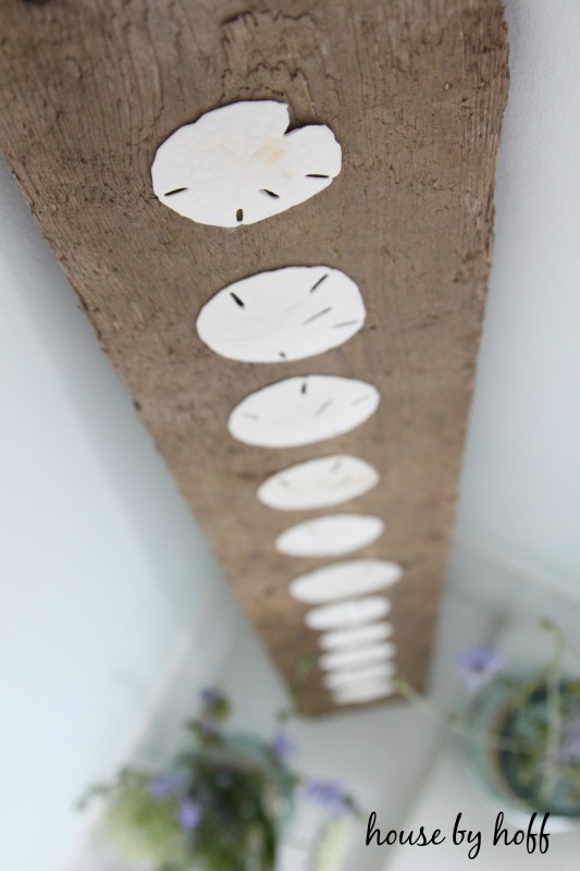 Seashells glued to wood board.