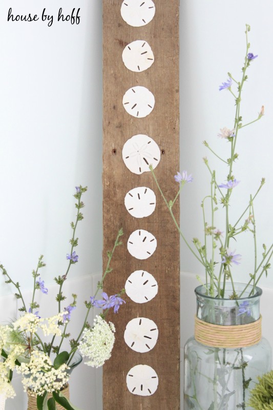 Seashell plank leaning against wall with pretty purple flowers beside it.