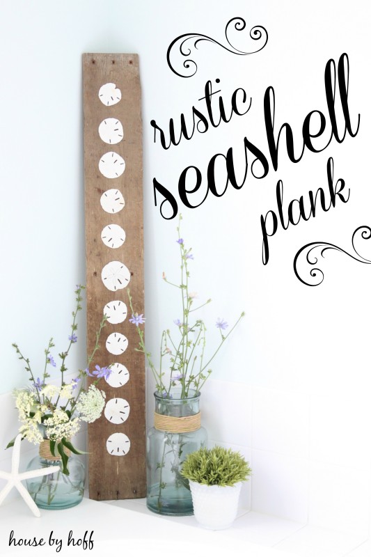 Rustic seashells on a plank.