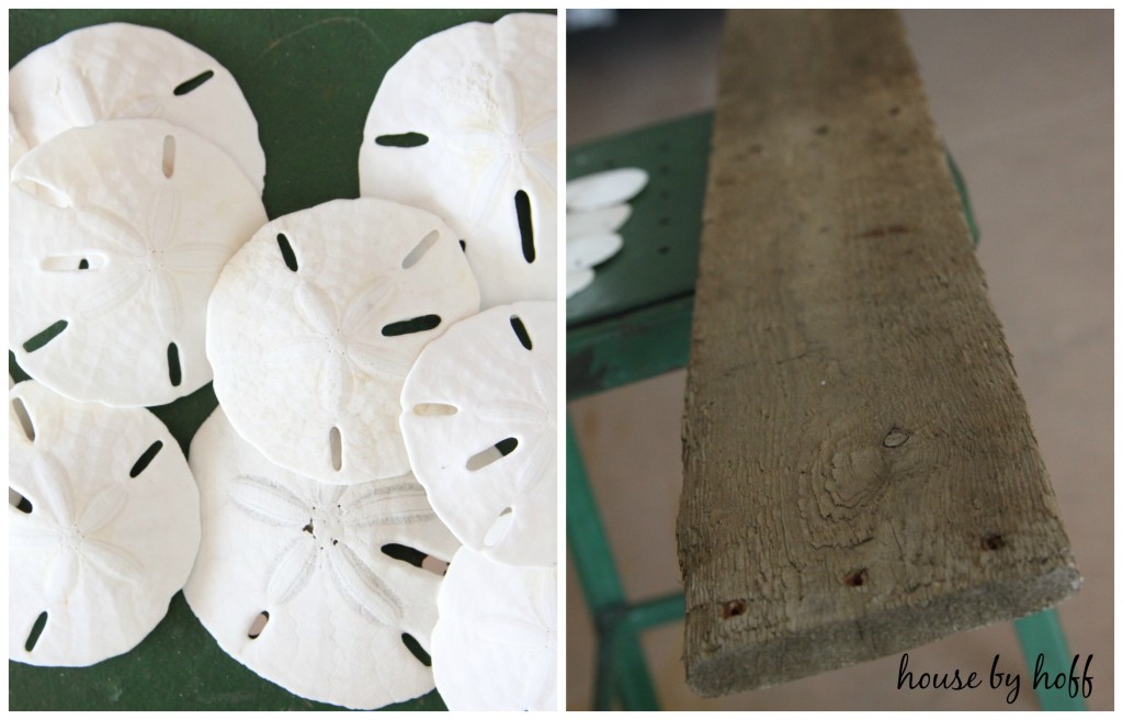 Up close picture of seashells and a plank board.