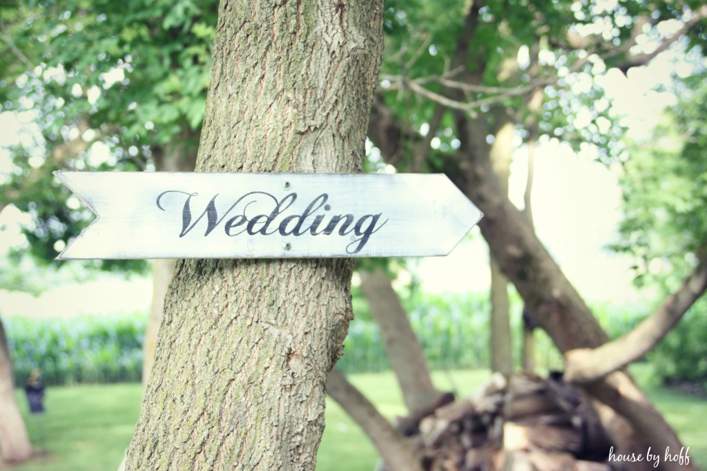 Picture of a wedding sign on a tree.