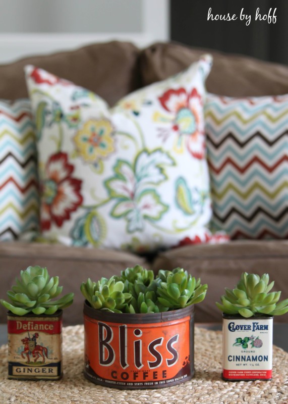 Succulents in vintage style containers on coffee table.