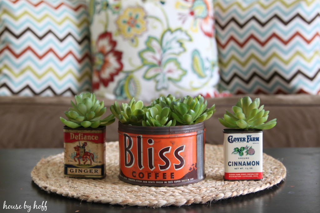 3 vintage containers with succulents growing out of them.