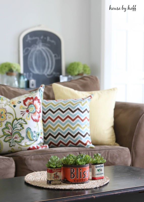 The vintage containers with plants on coffee table in living room.