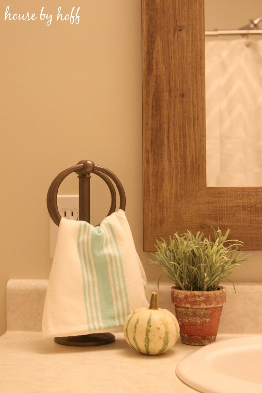 Brass towel holder, mini with pumpkin and a plant in bathroom.