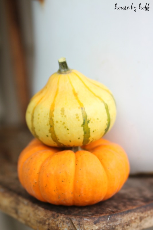 Decorating a Small Front Stoop for Fall