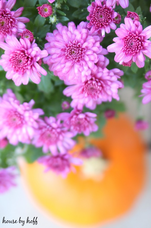 Decorating a Small Front Stoop for Fall