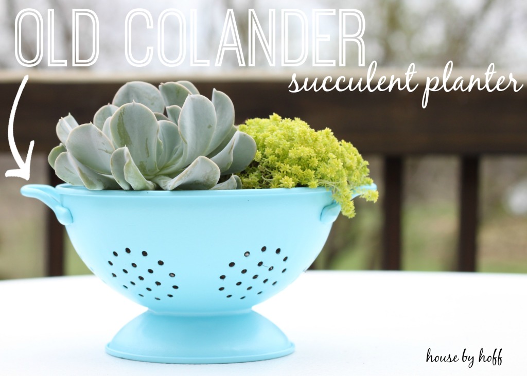 old colander 1