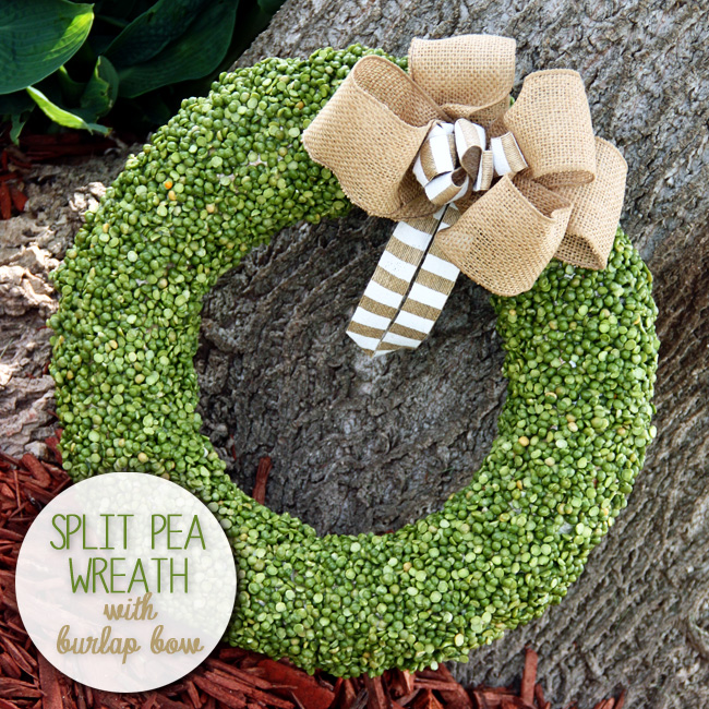 A wreath made of split peas.