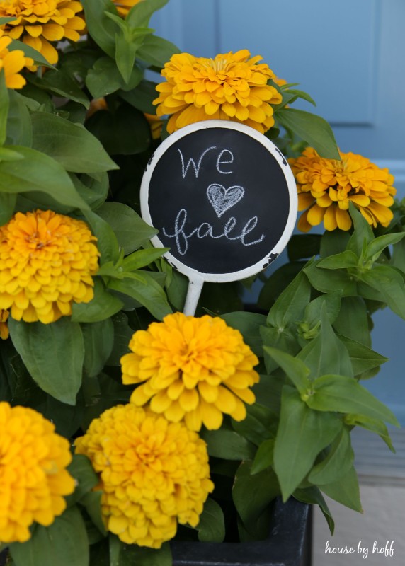 We love fall chalkboard sign in the yellow flower planters.