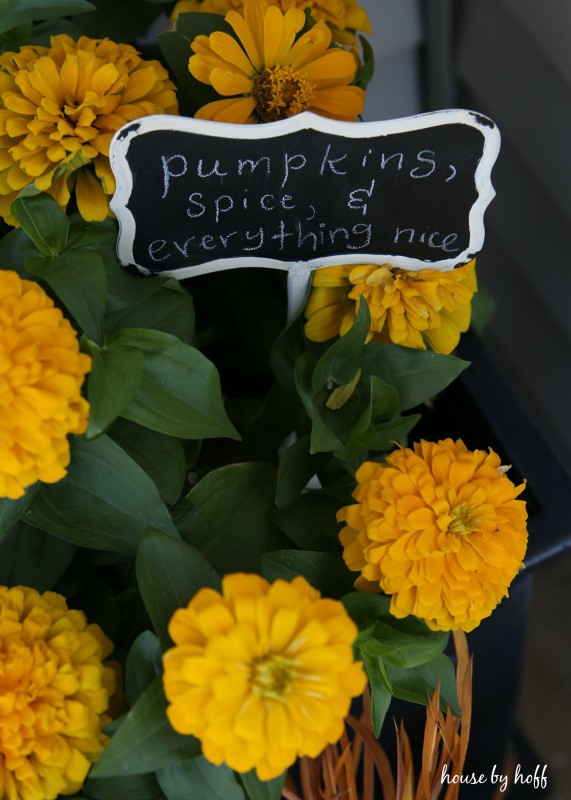 Yellow flowers in a planter with a sign in it saying pumpkin, spice & everything nice.