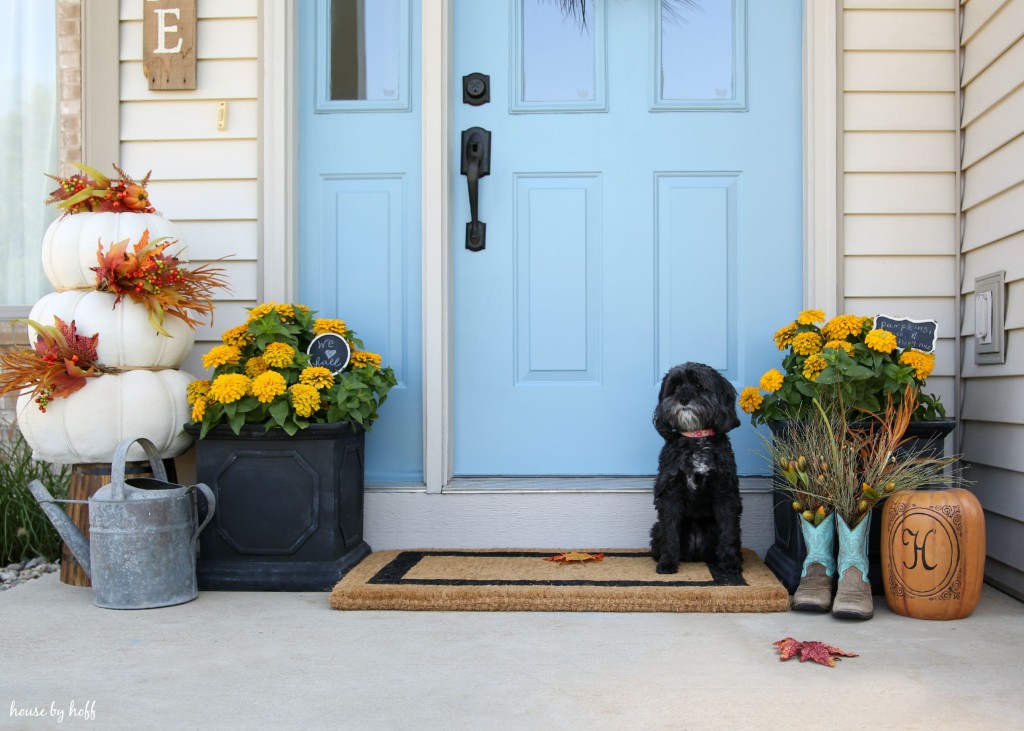 Fall Front Stoop with little dog, pumpkin, and boots.