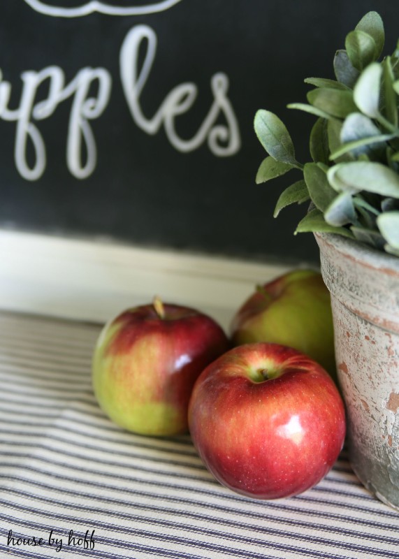 Three apples on a table with a plant.