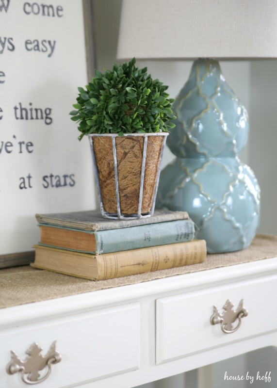 A potted green plant on top of the hallway table beside a light blue lamp.
