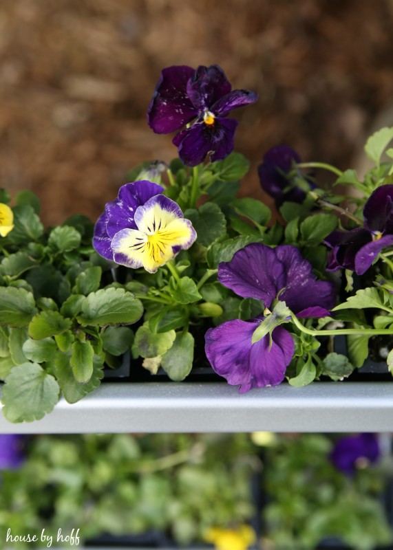 DIY Hanging Gutter Planter via House by Hoff