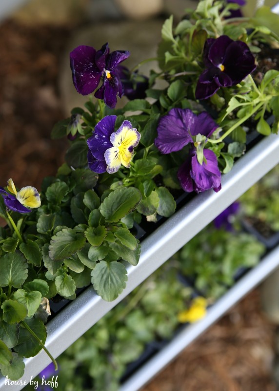 DIY Hanging Gutter Planter via House by Hoff