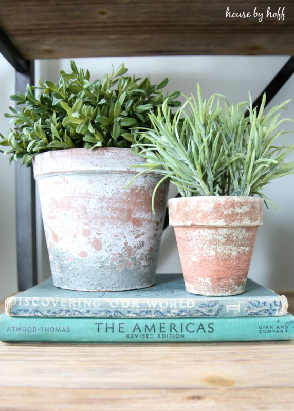 Pots of plants sitting on blue vintage books.