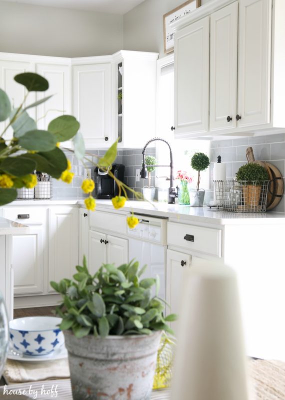 Plant on table with wire basket in background on counter.