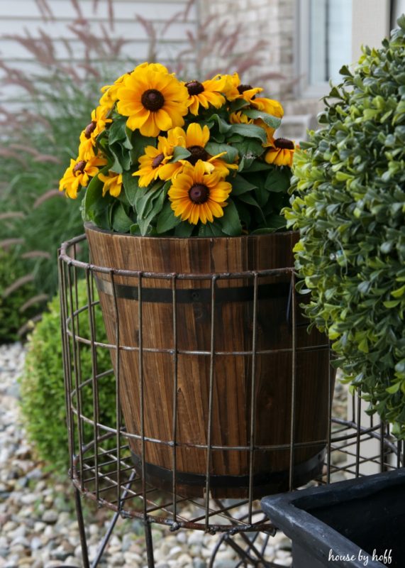 Sunflowers in wire basket on front stoop.