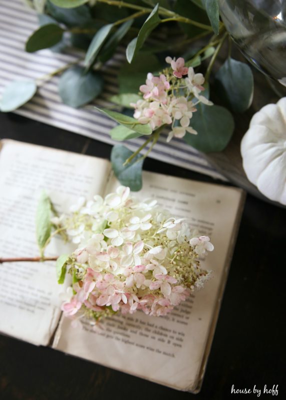 White and pink hydrangeas on antique open book.