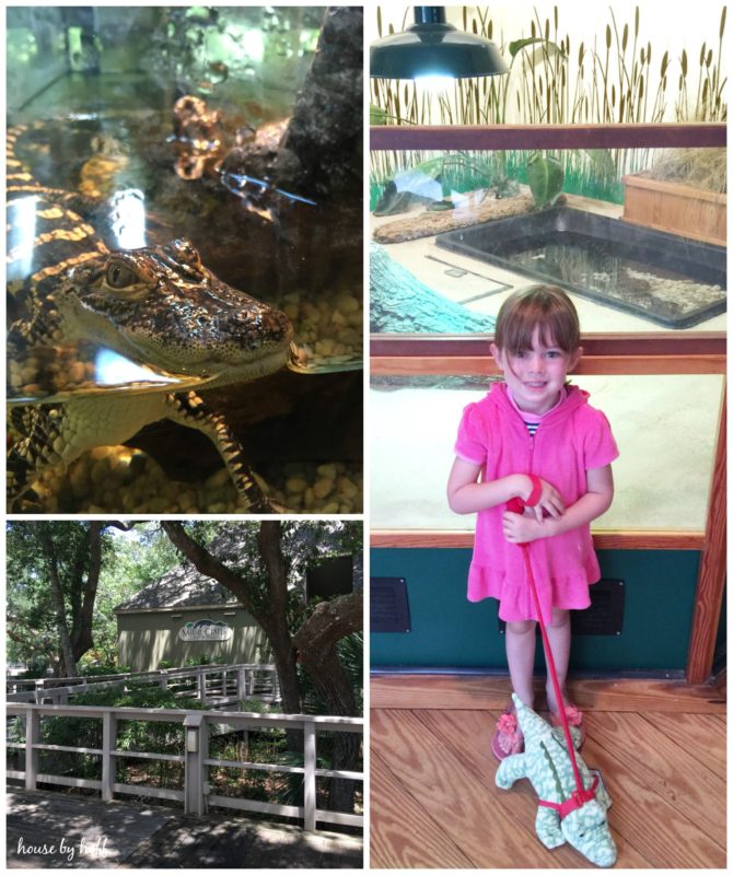 10 Things to Do in Kiawah Island, SC With Your Kids via House by Hoff