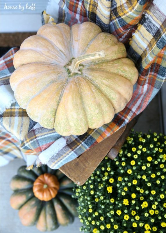 White pumpkin on chair with plaid blanket under it.