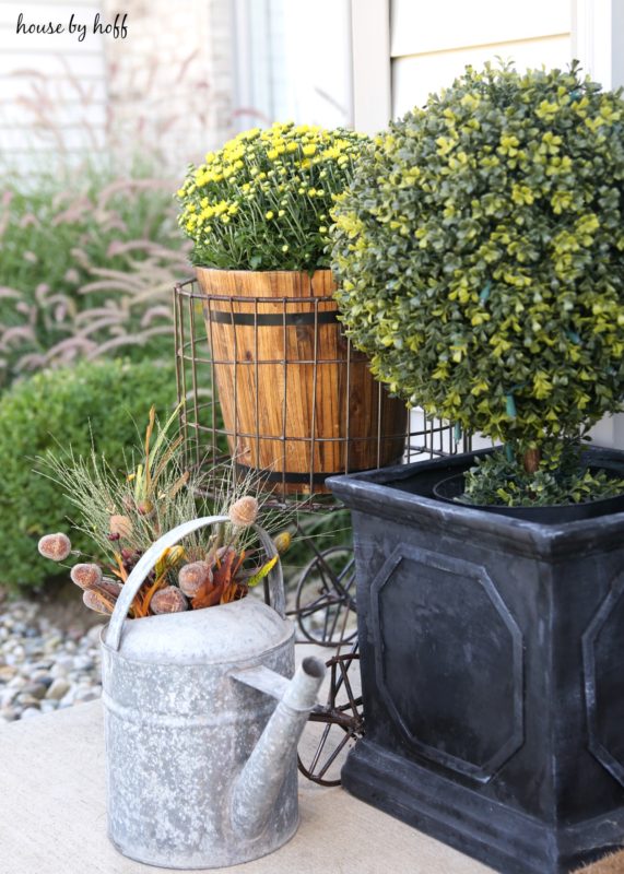 Topiary green bush, and yellow flowers on porch.