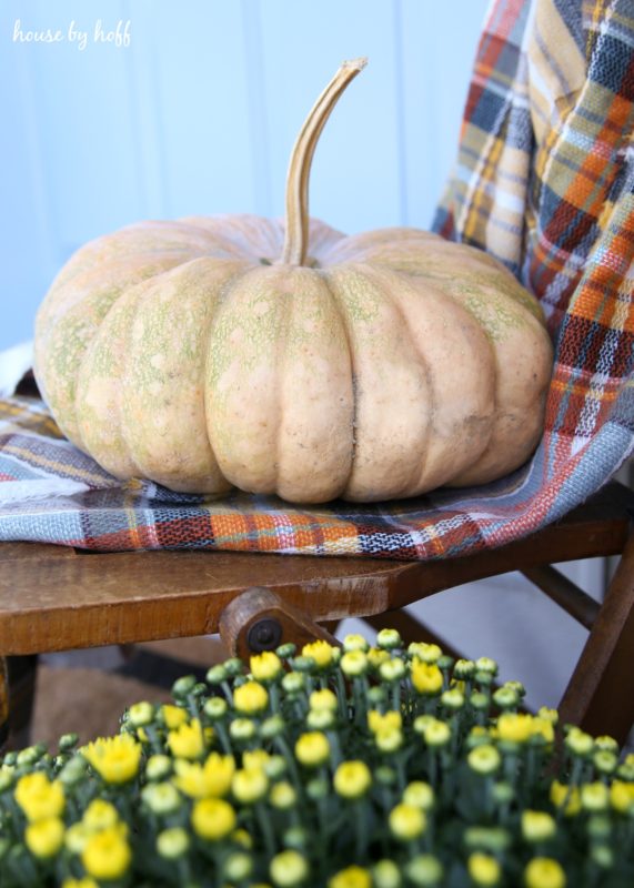 White pumpkin on chair and yellow flowers beside it.