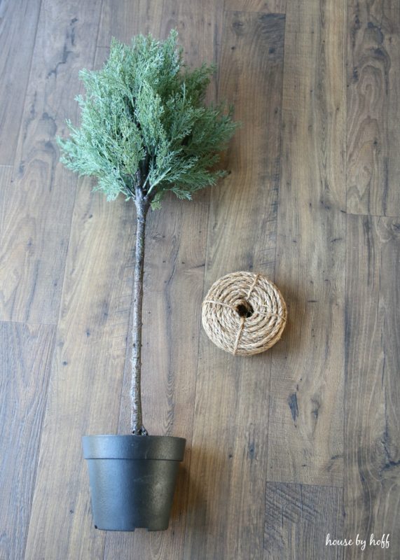 The topiary on the floor with rope lying beside it.