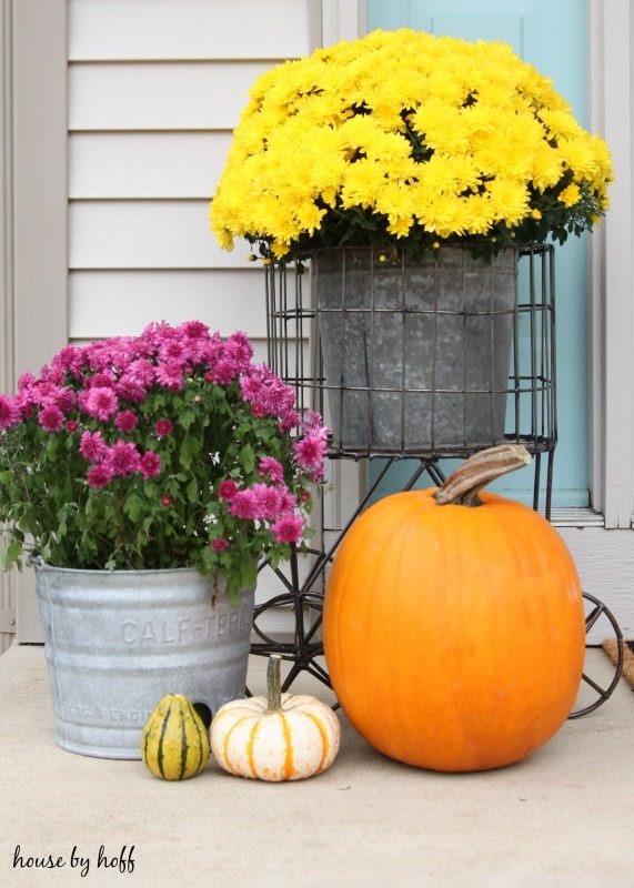 Yellow and pink flowers in containers and also a pumpkin on porch.