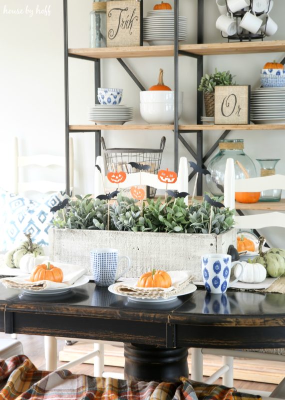 White plates on table with mini pumpkins on them.