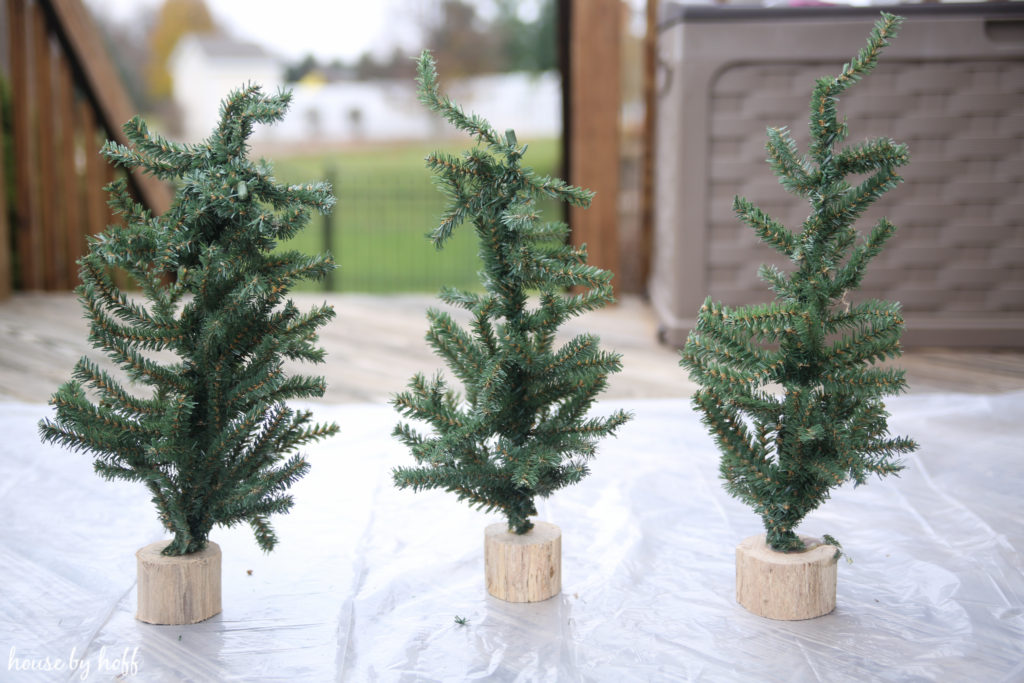 Three plain little trees on the porch outside.