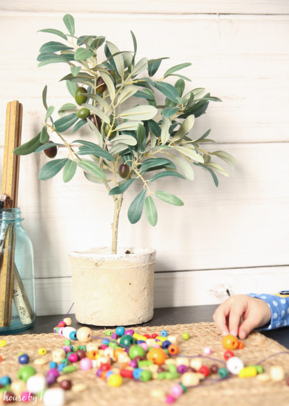 Green olive plant on table with multi coloured beads.