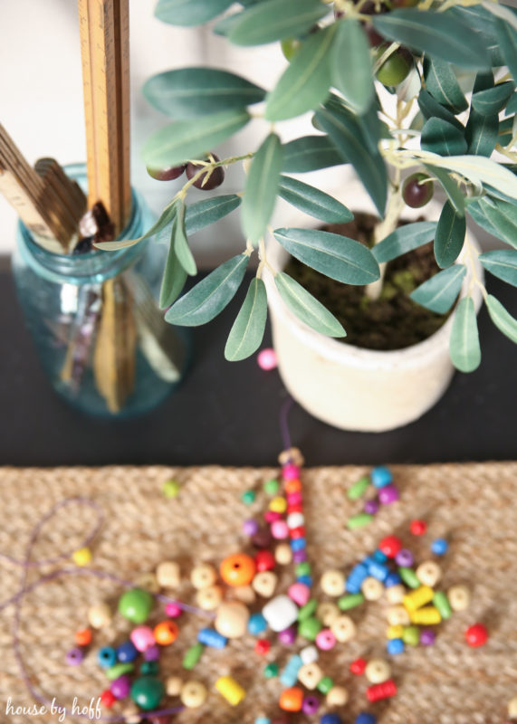 A small olive plant on the table and a clear glass jar filled with rulers.