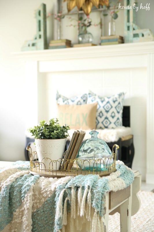 A blanket on a table in the living room and a tray filled with a plant and clear vase plus some books.