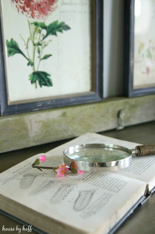 An opened book on the table and a magnifying glass on the book.