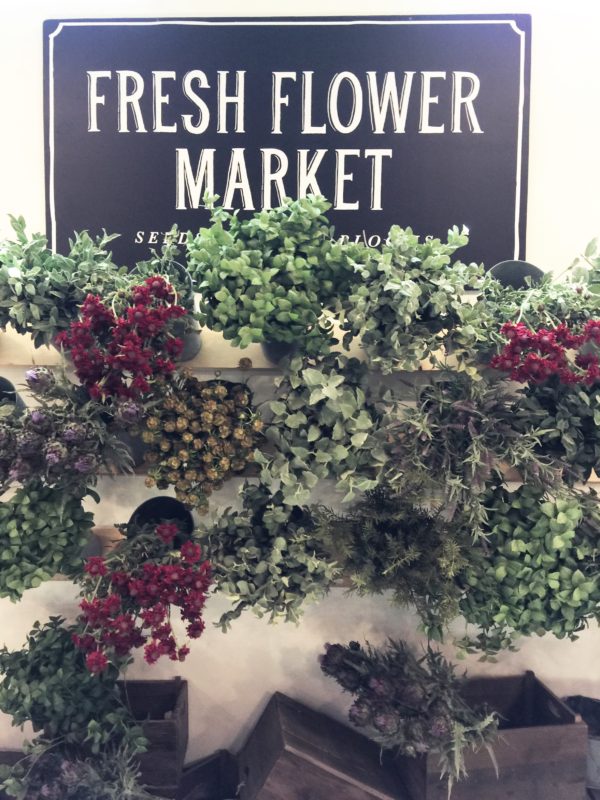 A Trip to Magnolia Market via House by Hoff