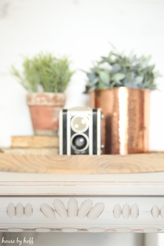 Succulents and vintage camera on top of table.