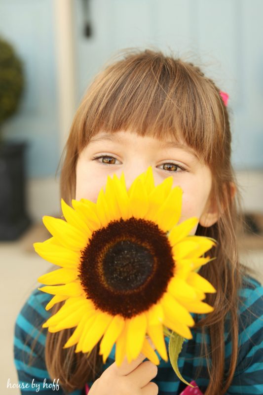 Large sunflower in front of little girls face.