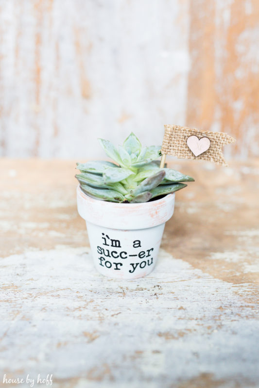 DIY Succulent Valentines via House by Hoff